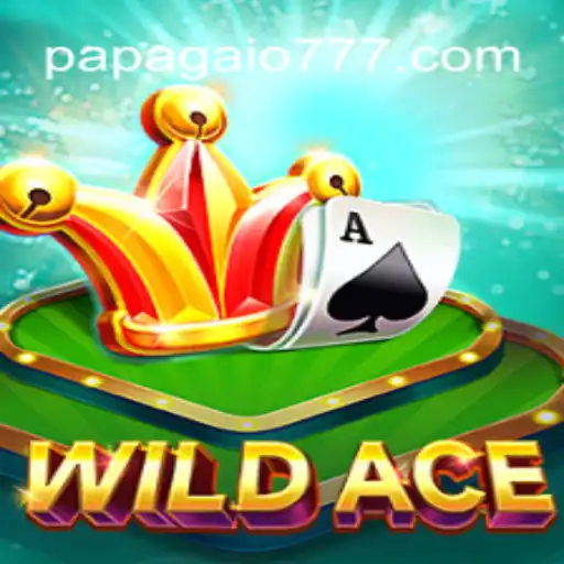 Inovador e Empolgante: Descubra 'WildAce', o Jogo que Conquista Multidões